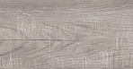 Rainwood керамогранит графитовый SG516700R 19,6х119,5_2