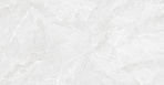 Regnum Bianco Керамогранит светло-серый CR6012G0401R 59,5х119,1 матовый_4