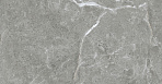 Stone Cool Grey Керамогранит серый 60х60 Полированный_5