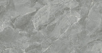 Regnum Grigio Керамогранит серый CR6012G0411R 59,5х119,1 матовый_4