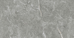 Stone Cool Grey Керамогранит серый 60х60 Полированный_1