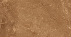 Elegant Armani Gold Керамогранит 60х60 Полированный_5