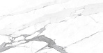 Carrara Terrific Silver Керамогранит белый 60х60 Матовый_5