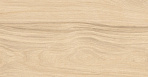 Selva PRO керамогранит бежевый SG517620R 19,6х119,1 R10 STR_2