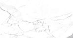 Carrara Terrific Silver Керамогранит белый 60х60 Матовый_6